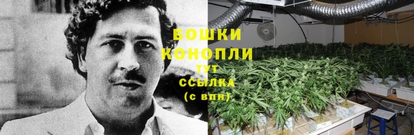 хмурый Пестово