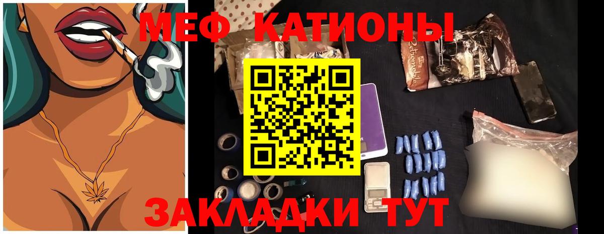 МЕФ  Александров