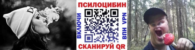 Псилоцибиновые грибы ЛСД  сколько стоит  Александров 