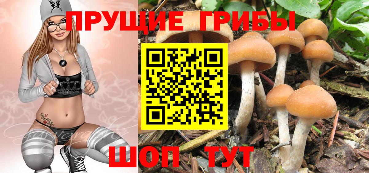 Галлюциногенные грибы ЛСД Александров