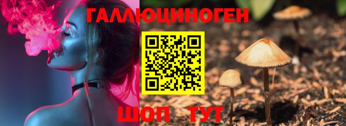 Александров  Псилоцибиновые грибы мицелий  Вход с VPN 